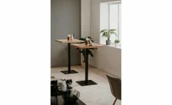 Bartisch Kris | Asteiche (Nachbildung)